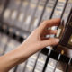 errors in public records