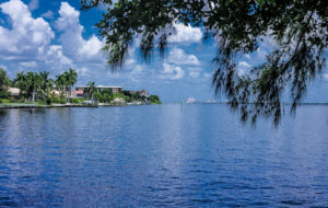 Move to Southwest Florida