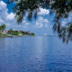 Move to Southwest Florida