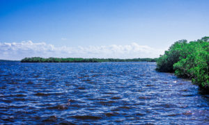Closing Costs To Expect When Buying A Home In SWFL